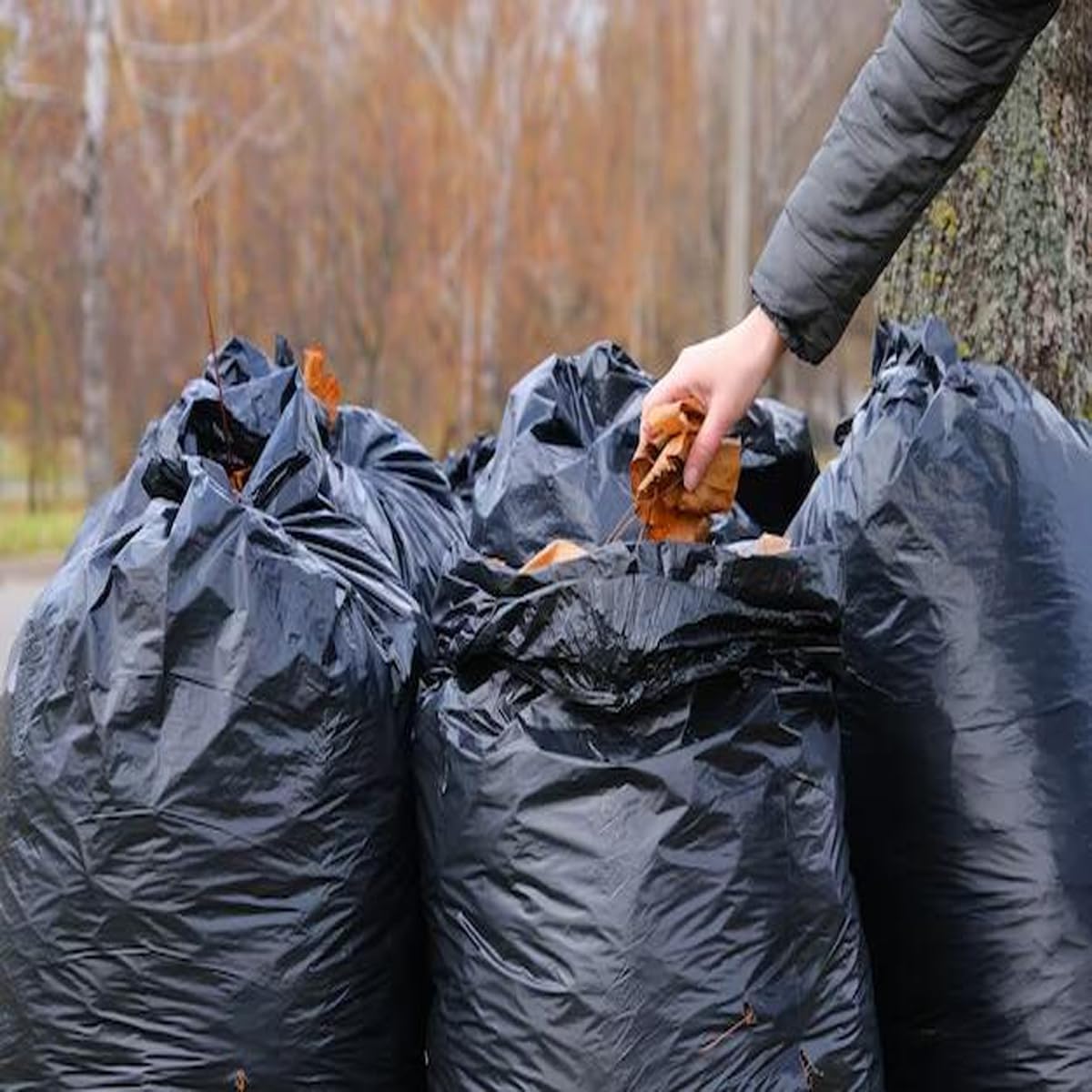 40-45 Gallon Lawn & Leaf Trash Bags, 250 Count Bulk, Black Garbage bags, Multi-purpose Trash Can Bin Liners for Home Commercial, Outdoor, Construction, Industrial