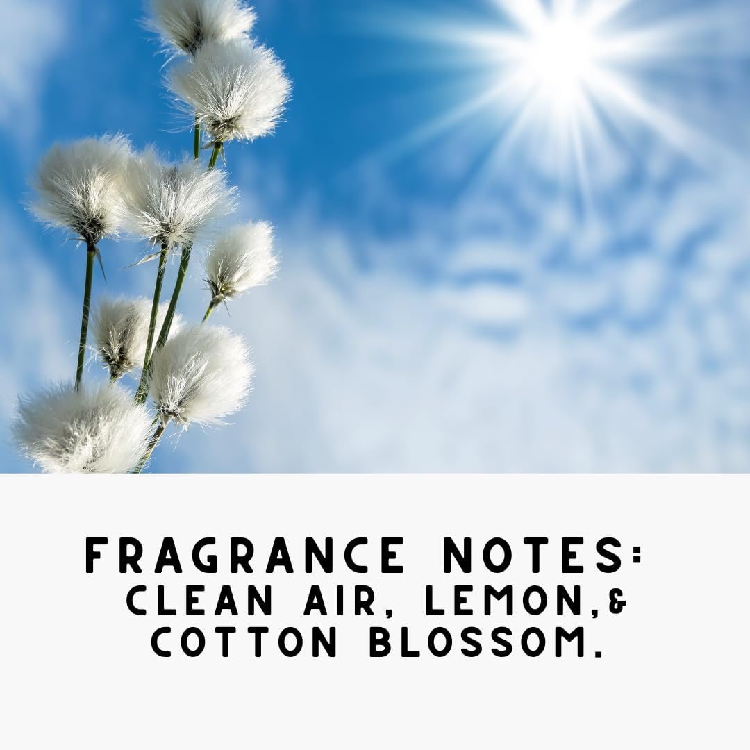 Home 'COTTON SKY',Concentrated, Natural Laundry Detergent Powder - Fresh Air, Apple, & Kiwi| High Efficiency/Standard Machine Washing |Nontoxic | Stain/Odor Removal (32 oz / 64 Loads)