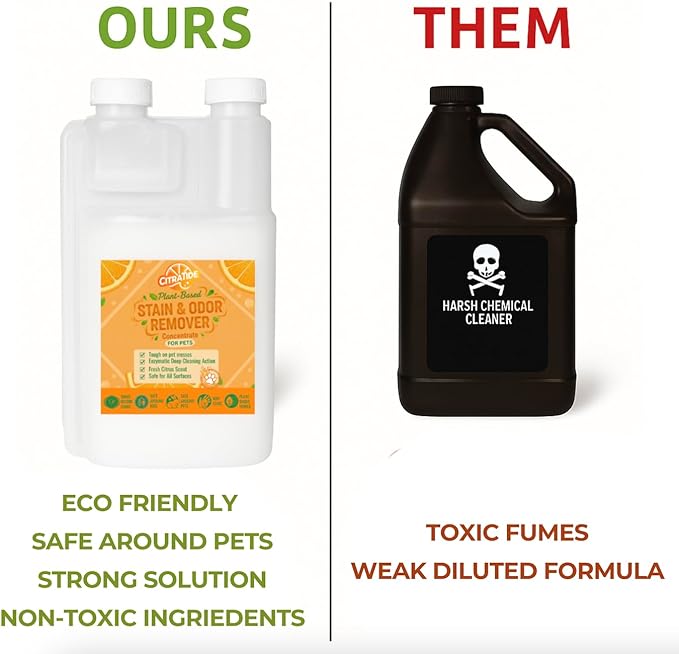 Stain & Odor Remover Concentrate (16 fl oz) – Citrus Powered Enzymatic Cleaner – Plant-Based Pet Safe Formula for Carpets, Upholstery, Hard Floors & More – USA Made, Eco-Friendly, Non-Toxic