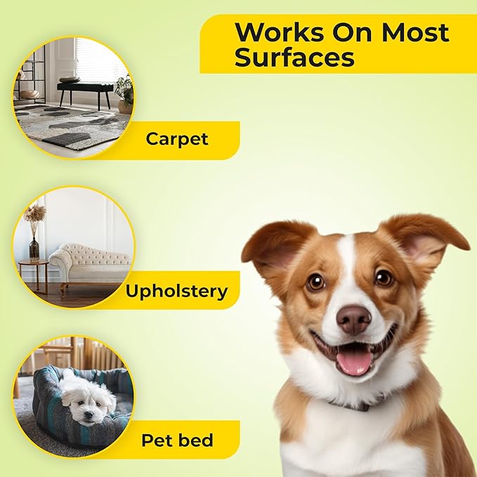 Aromasong Carpet Deodorizer Powder- 2-PACK - 100% Natural Citrus Carpet Freshener - Safe For Pets - Effective Pet Odor Eliminator For Strong Odor & Pet Urine 13 Oz. (Improved Formula)