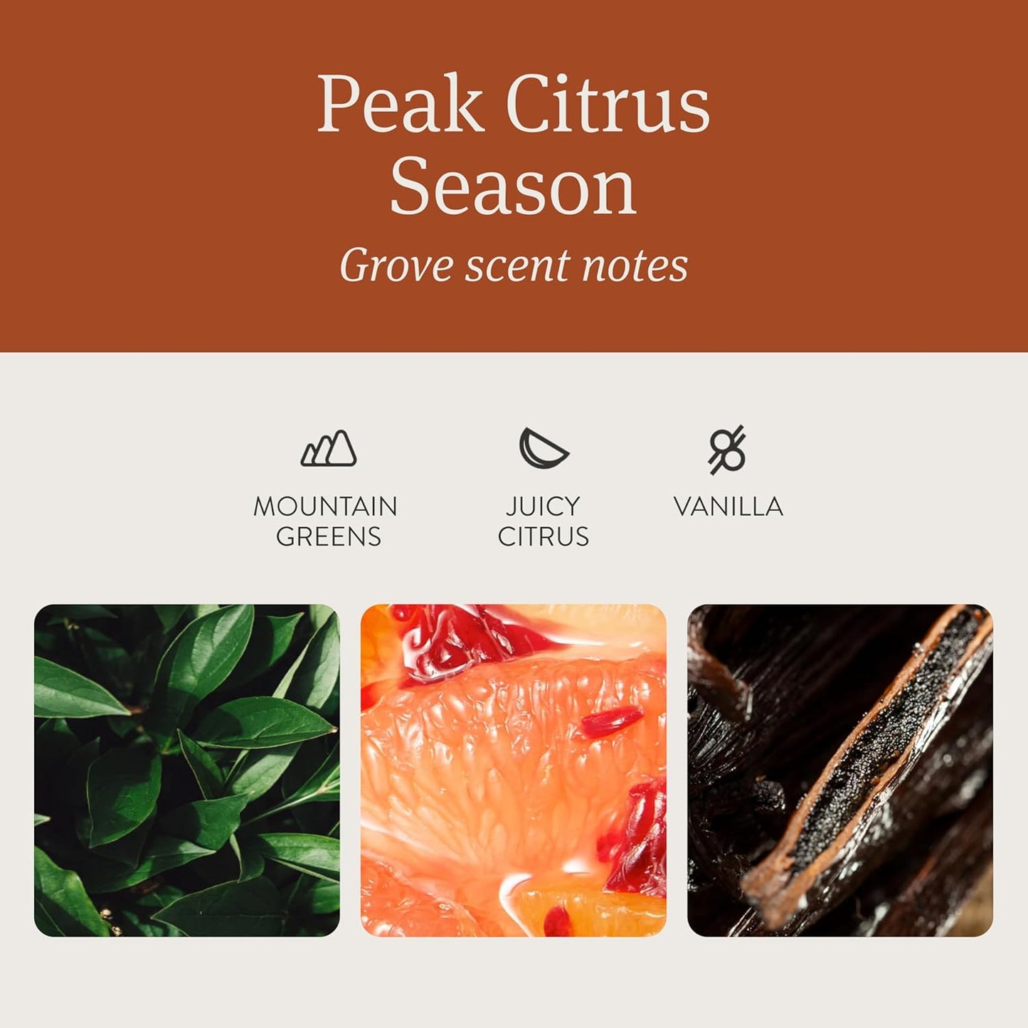 Drift Car Air Freshener - The Original Wood Air Freshener - Car Odor Eliminator - Long Lasting Scent - Auto Accessories - Metal Clip - Essential Oils - Clean Ingredients - Grove Scent Starter Kit