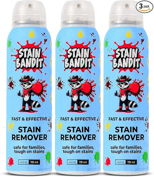 Stain Remover Spray - Non-Toxic, Family Safe Formula - Bag-On-Valve 360 Continuous Spray - Powerful Natural Cleaner for Clothes, Upholstery, Carpet, Car Seats & More - 4.2 oz (Pack of 3)