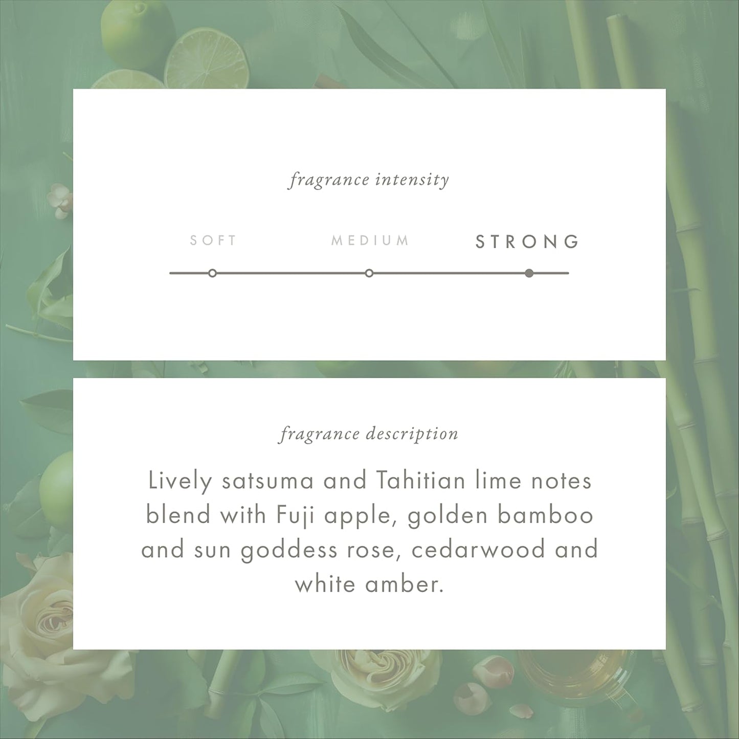 ScentAir Whisper Home Monthly Plug-in Refill, Fragrance Cartridge for Home and Office, Golden Bamboo