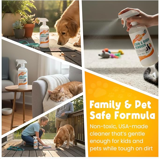 Stain & Odor Remover Concentrate (16 fl oz) – Citrus Powered Enzymatic Cleaner – Plant-Based Pet Safe Formula for Carpets, Upholstery, Hard Floors & More – USA Made, Eco-Friendly, Non-Toxic