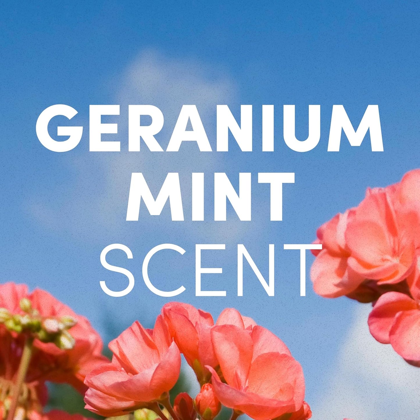 Clean Revolution Foaming Hand Soap, Gentle, Moisturizing, Ready To Use Formula, Real Essential Oils, Gluten Free, Geranium Mint, 15.25 Fl Oz