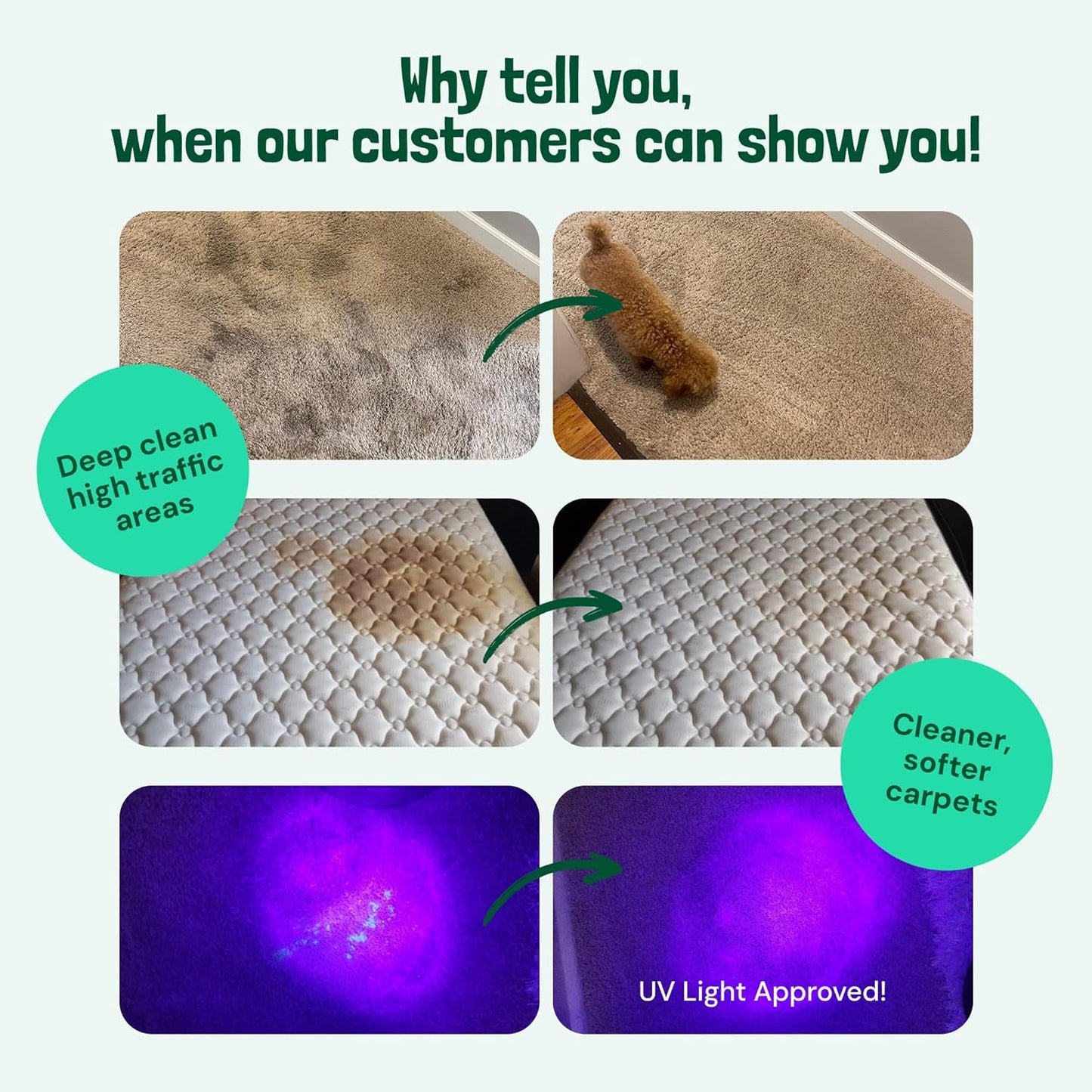 Sunny & Honey Carpet Cleaner Solution - 128 Fl Oz, Spring Mint Scent - Carpet Shampoo & Pet Stain Remover for Upholstery & Rugs, Works With Steam Cleaners