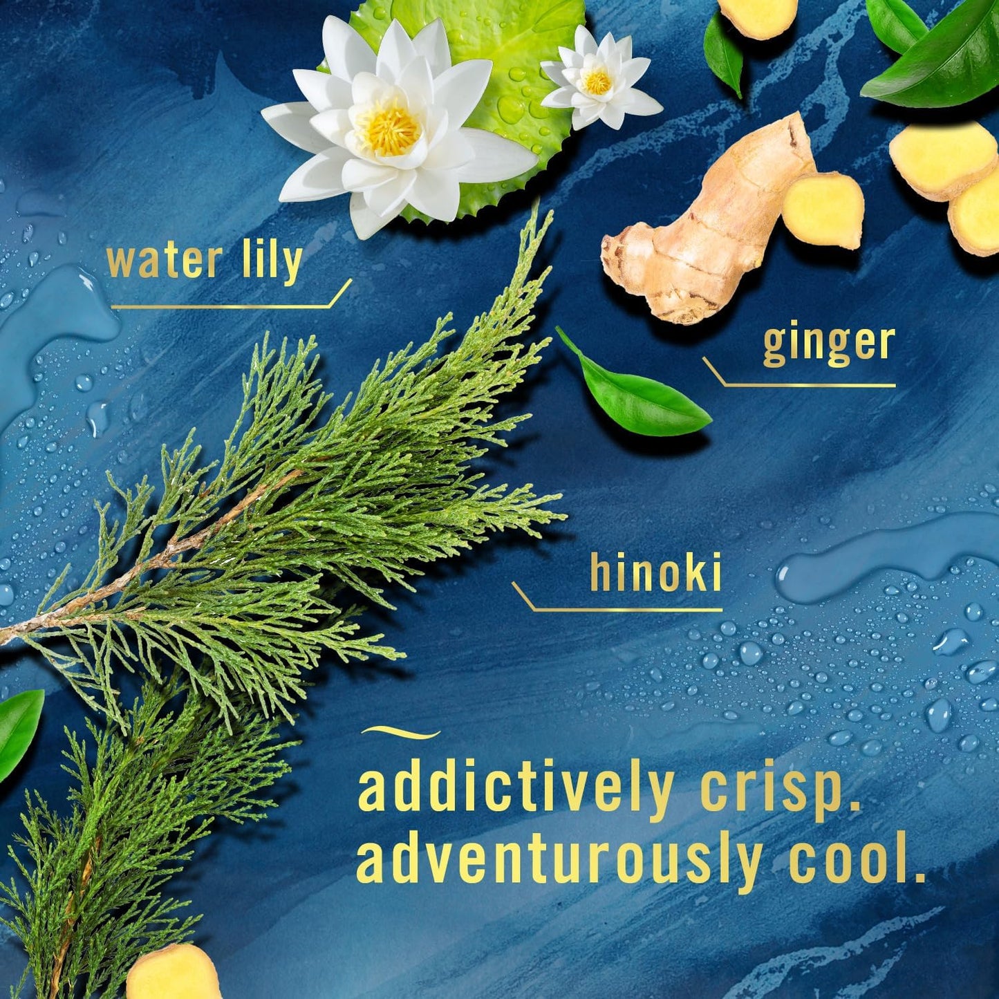 Febreze Bathroom Air Freshener, Odor-Fighting, Plug In Alternative, Air Fresheners for Home and Bathroom and Kitchen, Closet Air Fresheners, Ocean Scent, 4 Count - (Packaging May Vary)