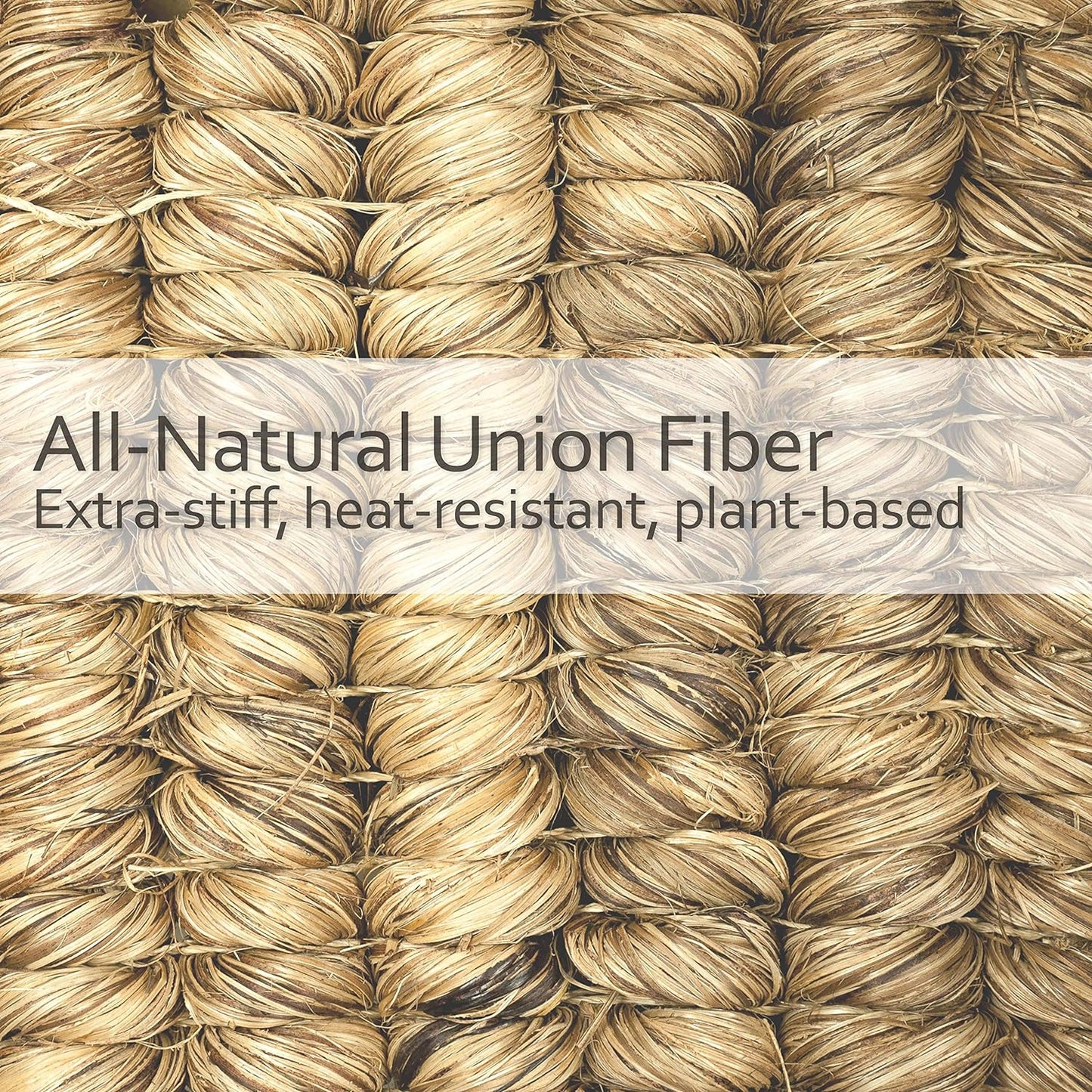 REDECKER Curved Dish Brush, Natural Union Plant Fiber Bristles, Ergonomic Design with Oiled Beechwood Handle, 10-1/2 Inches, Set of 2, Made in Germany - Union Bristle Scrubber